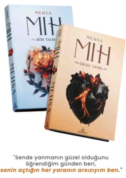 45. Durak, Mıh 1, Mıh 2 Dilsiz Yankı Büşra Nur ve Mehsa 3 Kitap Ciltli Set