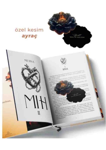 Ölüm Portresi 1 ve 2, Mıh 1, Mıh 2 Dilsiz Yankı Büşra Nur ve Mehsa 4 Kitap Ciltli Set