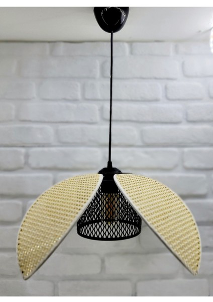 Hasır Hazeran Rattan Palmiye Model Bohem Salon Oturma Odası Hol Cafe Restaurant Tekli Sarkıt Avize