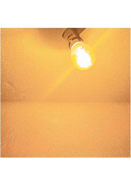 ( 2 x Adet ) 1 Takım Chromıum Dıadem Sinyal Ampulü 12V 93 21W (BAU15S) Tekduy Yakın Tırnak fırsatları
