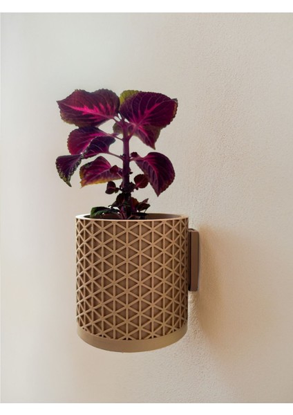 Mimari Modern Duvar Asma Saksı