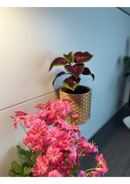 Mimari Modern Duvar Asma Saksı fiyatları