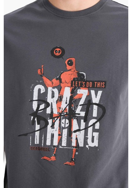 %100 Pamuk Deadpool Regular Fit Bisiklet Yaka Kısa Kollu Tişört E3263AX25SM indirimleri