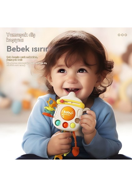 0 1 Yaşında Eğitici Bebek Oyuncak Şişe Larala 6 Aydan Fazla Erken Eğitim (Yurt Dışından)