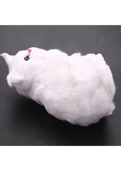 Gerçekçi Sevimli Simülasyon Dolması Peluş Beyaz Farsça Kediler Oyuncaklar Kedi Bebek Masa Süsü Çocuk Erkek Kız (Yurt Dışından) fırsatları