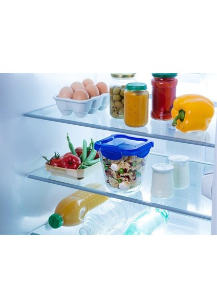 289Pg00/7046 Kapaklı Uzun Saklama Kabı 0,8L modelleri