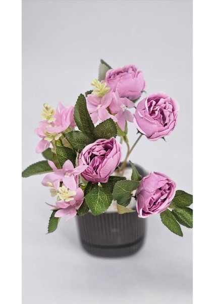 Lila Şakayık Gülü Yıldız Aranjmanli 27 cm Gül Buketi Ev Dekor Saksı Süsü fiyatları