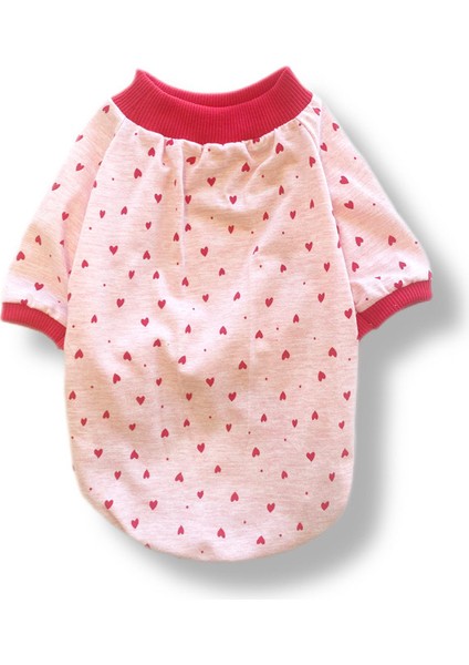 Minik Kalpli Köpek T-Shirt fiyatları