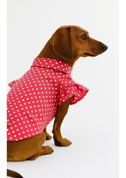 Puantiyeli Köpek Gömleği