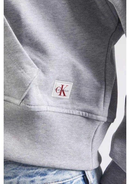 A- French Terry Badge Logo Fz Ho Kadın Gri Sweatshirt LV047C216G-P79 indirimleri