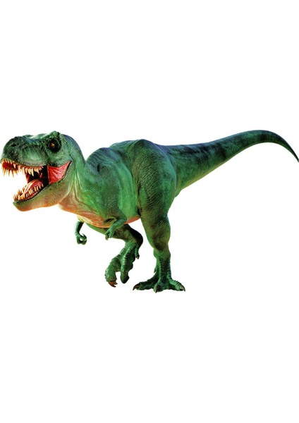 Natgeo Dino Kazı Kiti modelleri