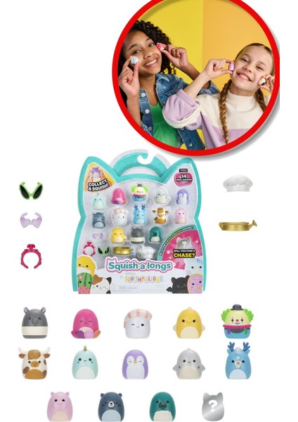 Squishmallows Mini Squish - A - Longs 14 Lü Figür + Yüzük Set Model 1