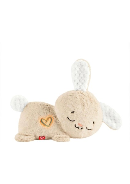 Nessiworld HXG97 Fisher-Price Uyku Arkadaşım Tavşancık