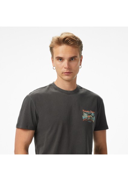 Tommy Jeans Regular Cabana Erkek Siyah T-Shirt.bds fırsatları
