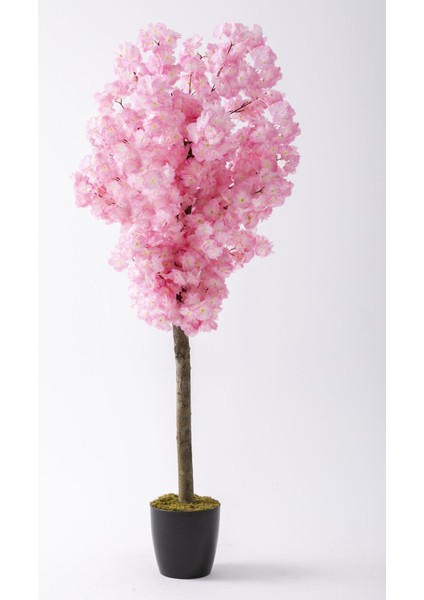 Yapay Bahar Dalı Ağacı 150 cm 30 Dal Açık Pembe