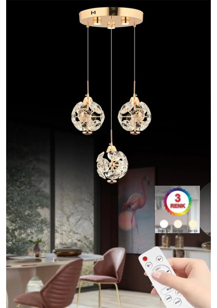Istanbul Avize Dali 3'lü Gold Kumandalı 3 Renk Ledli Modern LED Aplik
