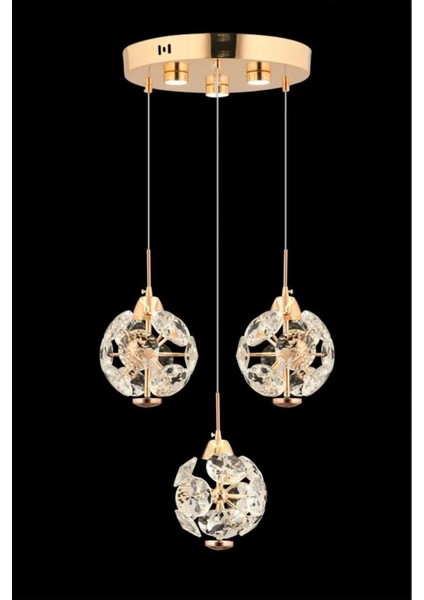 Istanbul Avize Dali 3'lü Gold Kumandalı 3 Renk Ledli Modern LED Aplik fiyatları