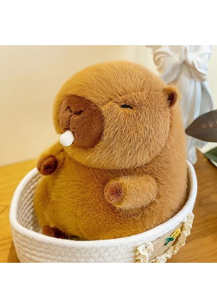 50CM Sevimli Kapia Peluş Oyuncak Bebek Yastık Hediye (Yurt Dışından)