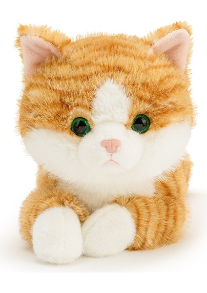 45CM Kedi Peluş Oyuncak Bebek Yastık Hediye (Yurt Dışından)