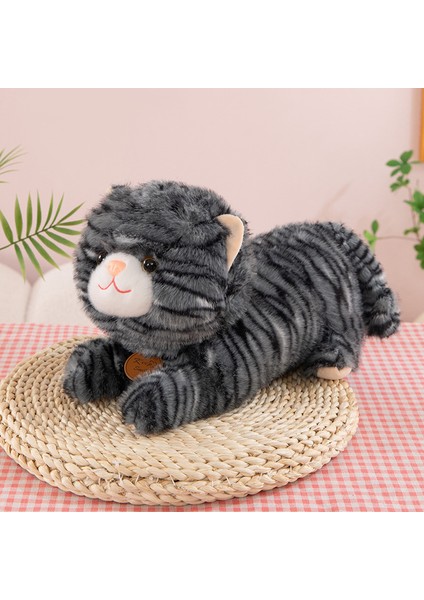 25CM Sevimli Kedi Peluş Oyuncak Bebek Bebek Yastık Hediye (Yurt Dışından)