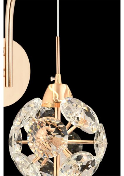 Istanbul Avize Dali Aplik Tekli Gold 3 Renk Ledli Modern LED Aplik