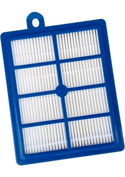 Electrolux EUFC8ALRGY Süpürge Uyumlu Hepa Filtre