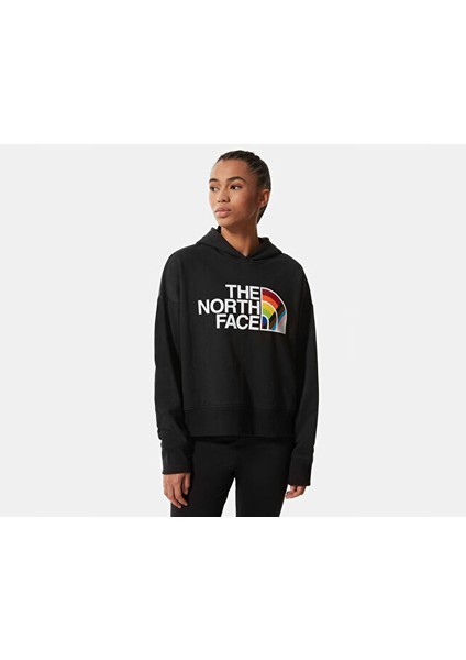 W Pullover Hoodie Kadın Outdoor Sweatshirts NF0A7QCLJK31 Siyah fırsatları