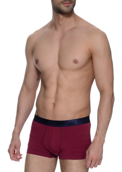 Bordo Boxer