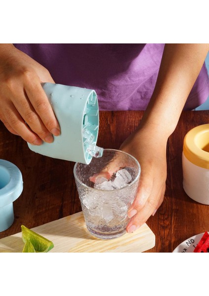 Silikon Küp Buz Kalıbı fiyatları