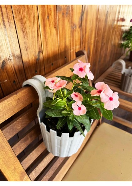 Açık Gri Tekli Dekoratif Askılı Truva Orta Boy Renkli Çiçek Saksısı 1,5lt (155X235X205MM)