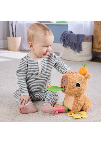 Yumuşak Kapibara Peluş HYR54 fiyatları