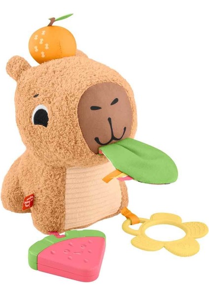 Yumuşak Kapibara Peluş HYR54 modelleri