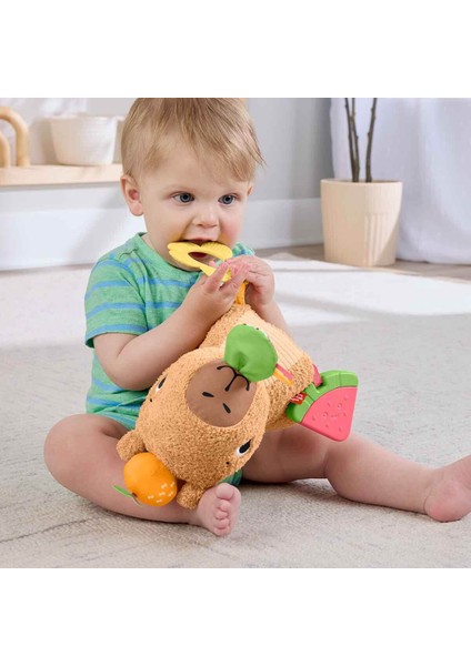 Yumuşak Kapibara Peluş HYR54 fırsatları