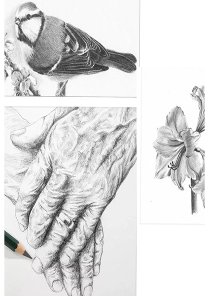 Pitt Graphite Matte Pencils Hb, 2b, 4b 6'lı Set fırsatları