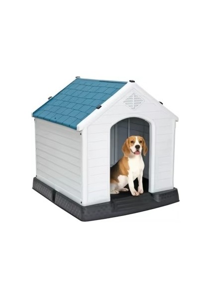 Köpek Kulübesi Yaşam Alanı