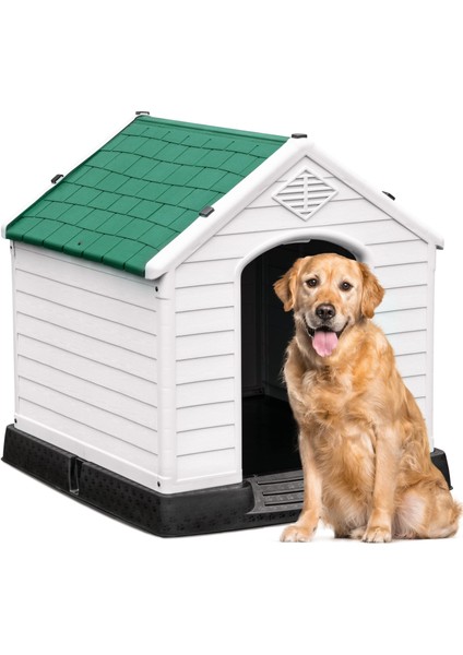 Köpek Kulübesi Yaşam Alanı