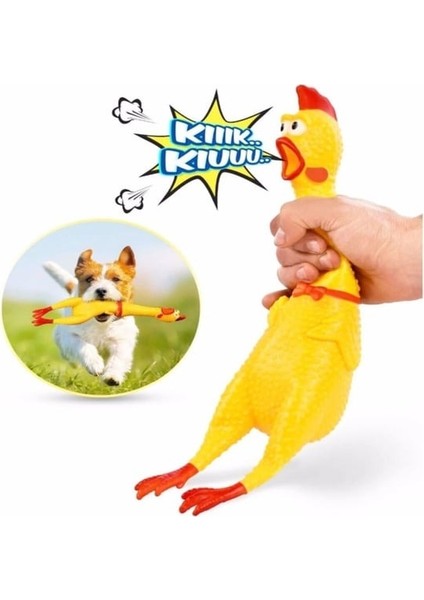 Ses Çıkaran Tavuk Kedi Köpek Oyuncağı