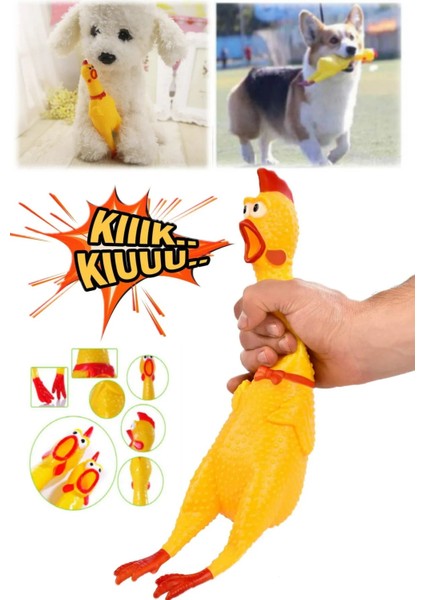 Ses Çıkaran Tavuk Kedi Köpek Oyuncağı