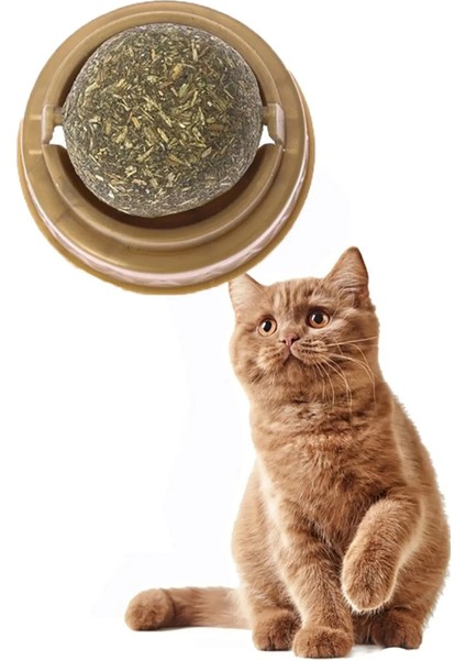 Kedi Nanesi Oyun Topu modelleri