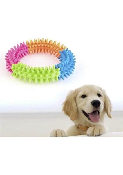 Köpek Isırma Diş Kaşıma Çemberi