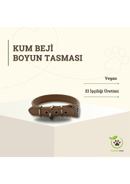 Köpek Boyun Tasması Kum Beji M Beden