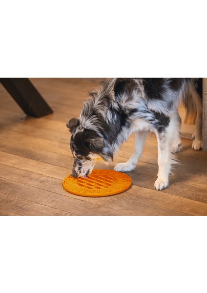 Yavru Köpek Mama Yeme Oyuncağı, Daire Şeklinde, Silikon, Turuncu, 30CM Sptgl fırsatları