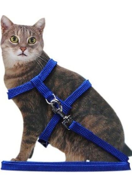 Kedi Boyun ve Göğüs Tasması
