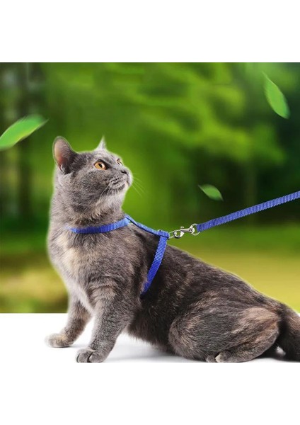 Kedi Boyun ve Göğüs Tasması
