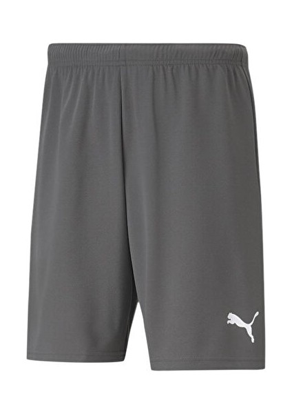 Teamrise Short Erkek Şortu 70494213 Gri