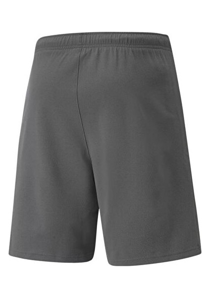 Teamrise Short Erkek Şortu 70494213 Gri