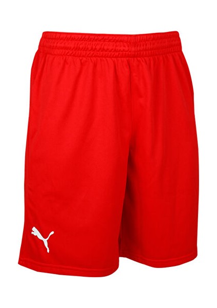 Turkey Practice Short Erkek Türkiye Basketbol 60547202 Kırmızı