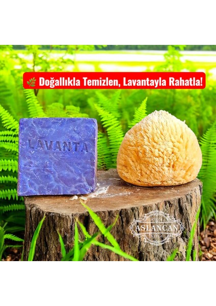 Lavanta Sabunu & Doğal Deniz Süngeri Seti – Cilt Bakımı