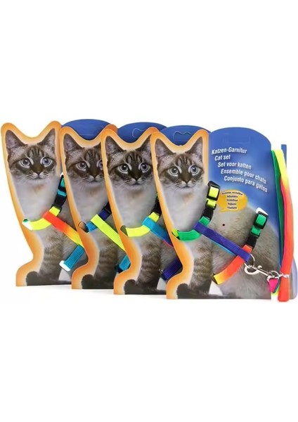 Multicolor Kedi Tasması