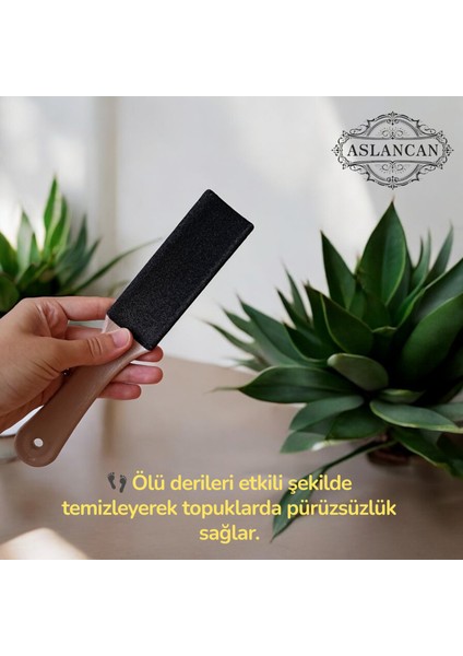 Ahşap Saplı Topuk Törpüsü Ponza Taşı fiyatları